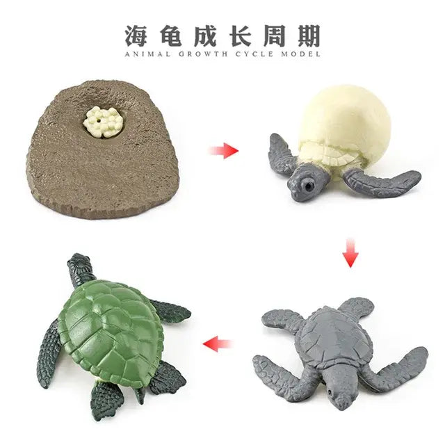 Animal Life Cycle Animal Model Set Toys Growth Life Cycle Insect Dinosaurio Montessori Toy Biology Accessories Cognitive Toys