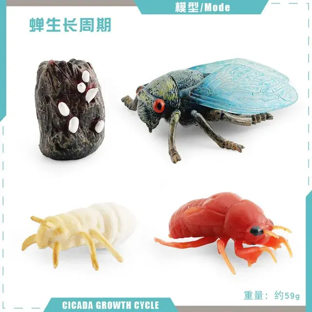 Animal Life Cycle Animal Model Set Toys Growth Life Cycle Insect Dinosaurio Montessori Toy Biology Accessories Cognitive Toys