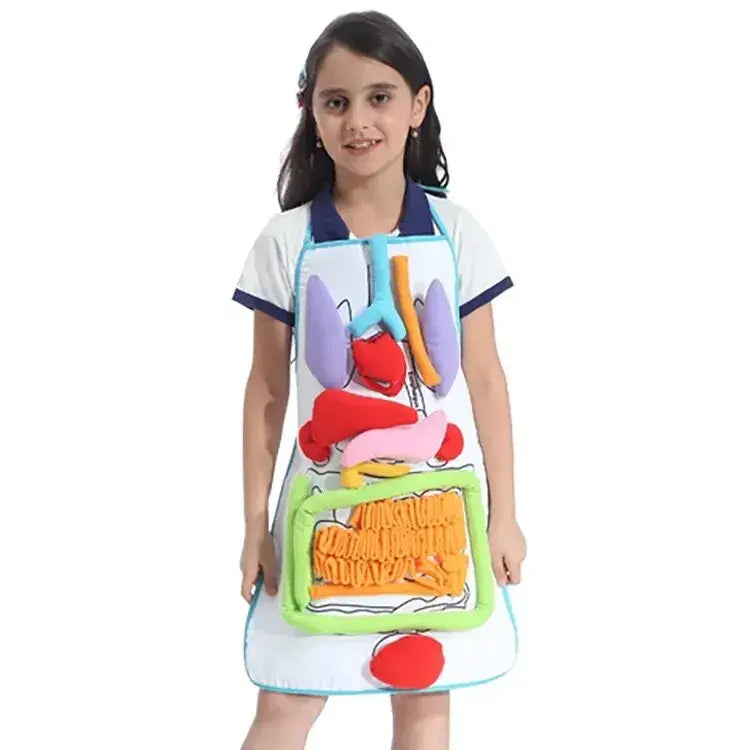 Early Education Children's Toy 3D Organ Clothes Teaching Aid For Kindergarten Body Internal Organs Enlightenment Tool