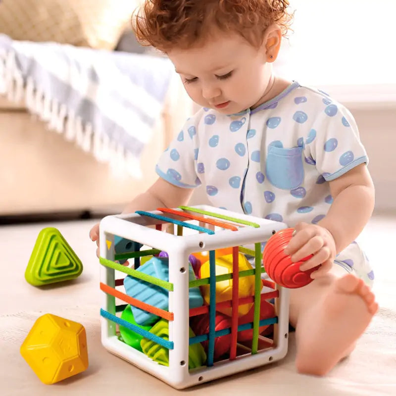 Colorful shape blocks sorting game