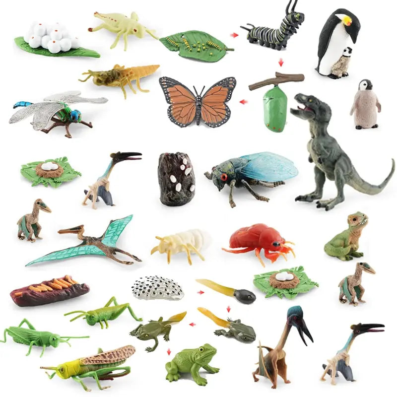 Animal Life Cycle Animal Model Set Toys Growth Life Cycle Insect Dinosaurio Montessori Toy Biology Accessories Cognitive Toys